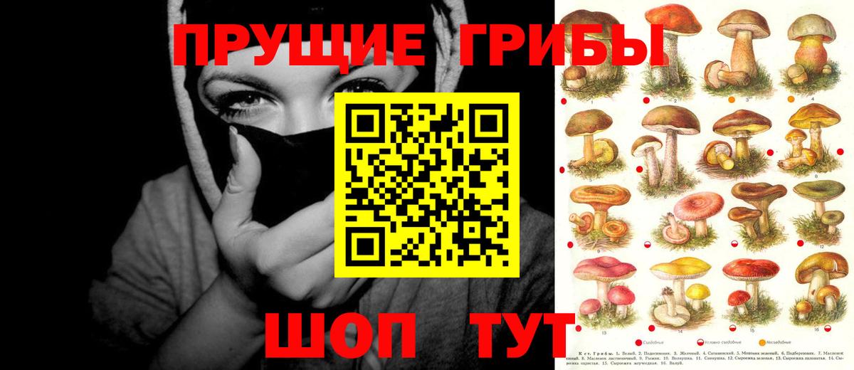 Галлюциногенные грибы прущие грибы Великий Новгород