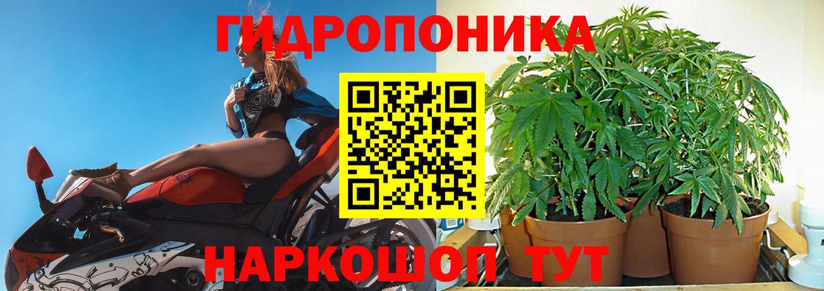 Великий Новгород  Марихуана LSD WEED  Канабис сатива  Конопля SATIVA & INDICA  Вход с VPN 